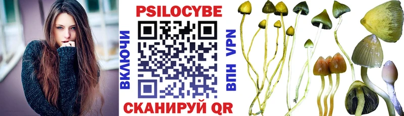 Галлюциногенные грибы Psilocybe  Красный Сулин 
